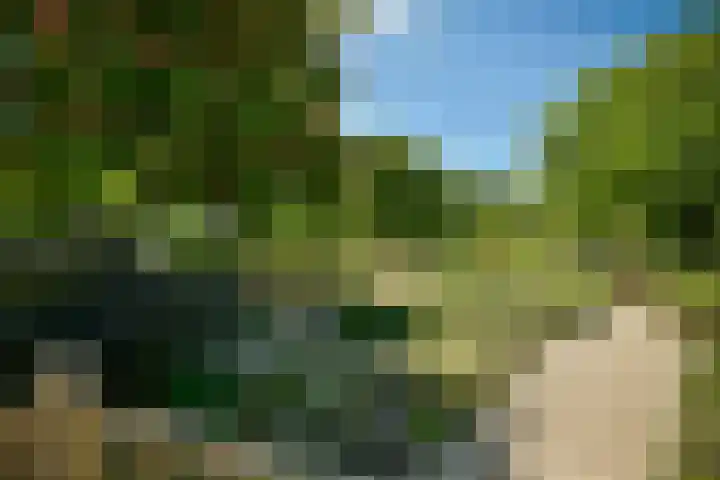 Zandvoortselaan 305 Bentveld thumbnail 34