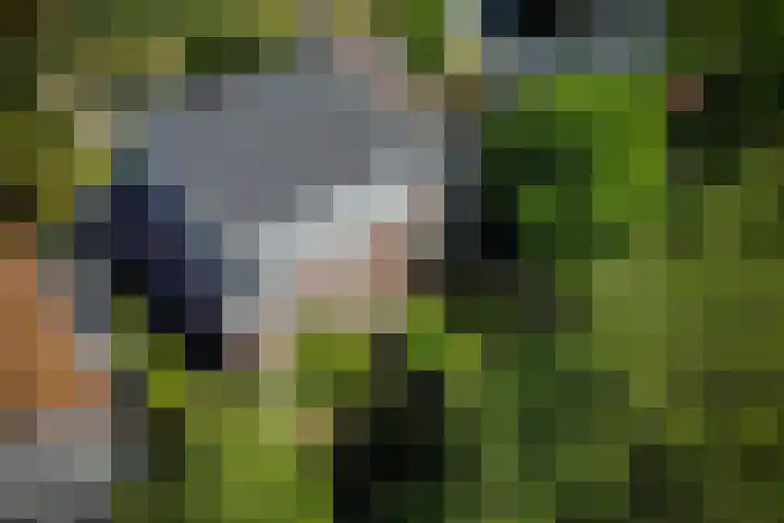 Zandvoortselaan 305 Bentveld thumbnail 35
