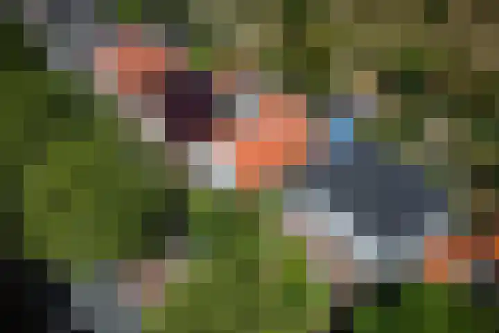 Zandvoortselaan 305 Bentveld thumbnail 36