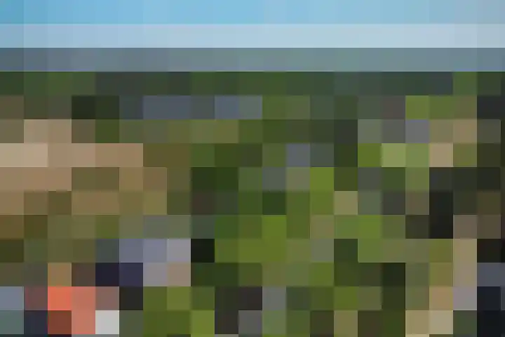 Zandvoortselaan 305 Bentveld thumbnail 37