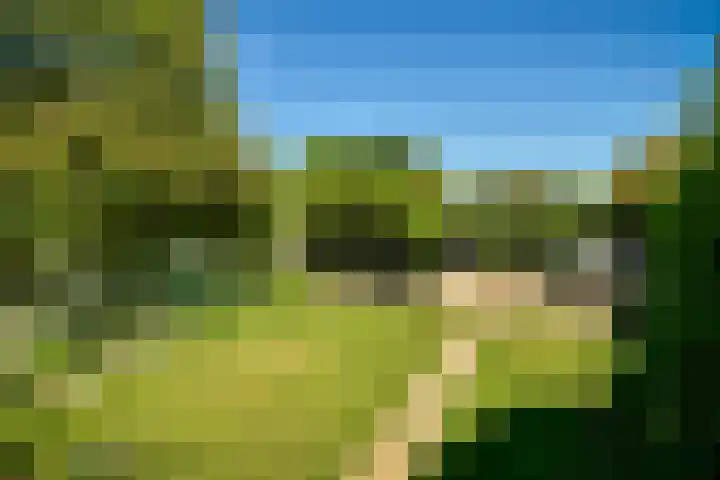 Zandvoortselaan 305 Bentveld thumbnail 4