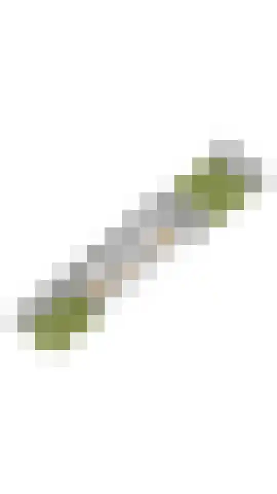 Zandvoortselaan 305 Bentveld thumbnail 49