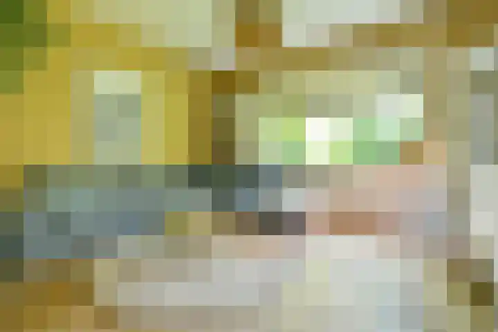 Zandvoortselaan 305 Bentveld thumbnail 6