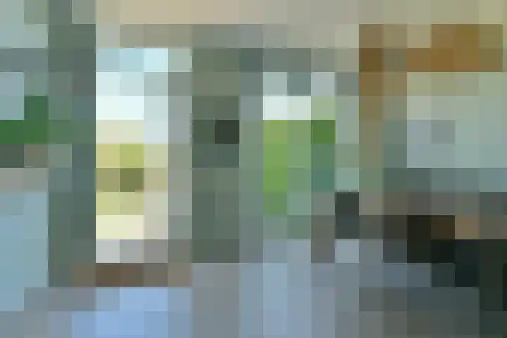 Zandvoortselaan 305 Bentveld thumbnail 7