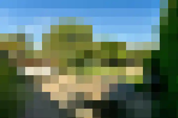 Zandvoortselaan 305 Bentveld thumbnail 8
