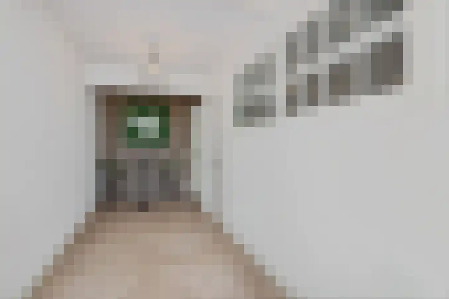 Zandvoortselaan 333 Bentveld thumbnail 11