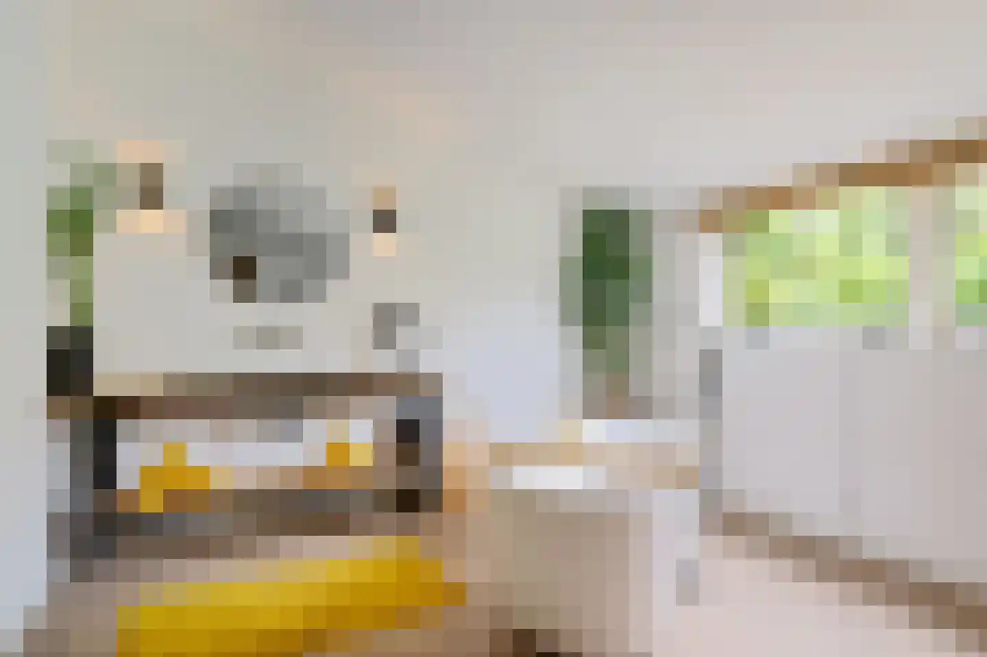 Zandvoortselaan 333 Bentveld thumbnail 13