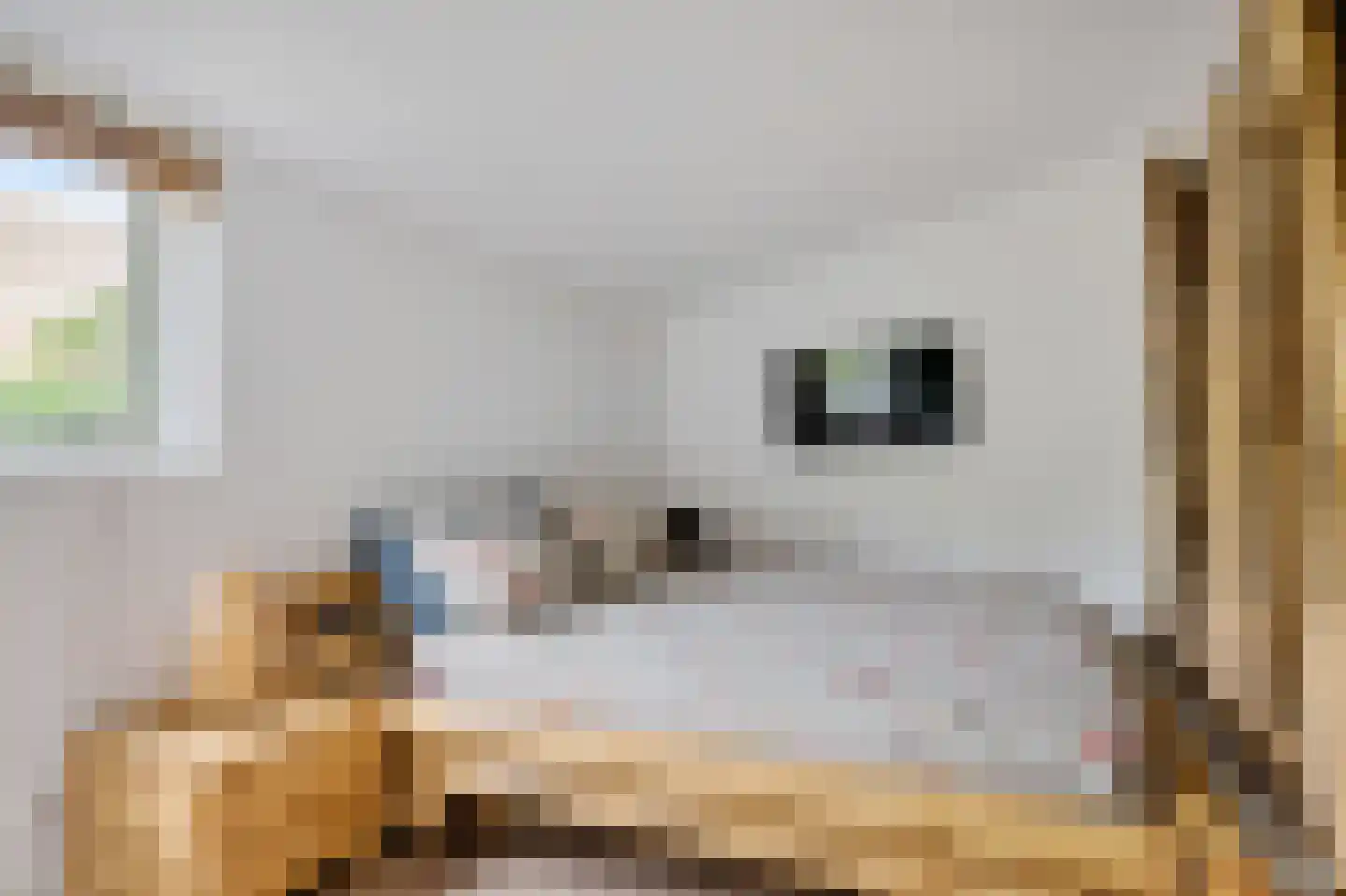 Zandvoortselaan 333 Bentveld thumbnail 17