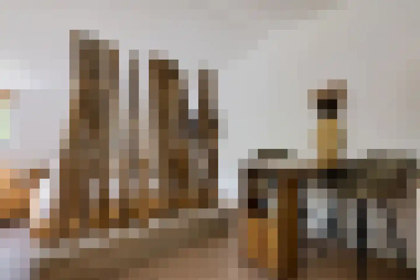 Zandvoortselaan 333 Bentveld thumbnail 19