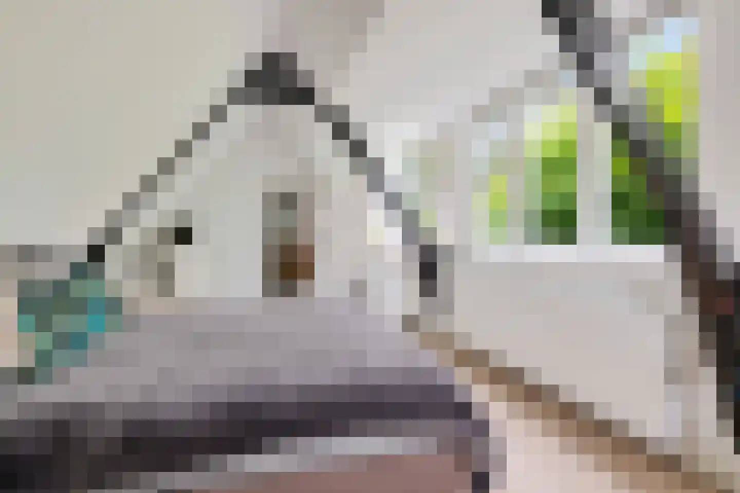 Zandvoortselaan 333 Bentveld thumbnail 24
