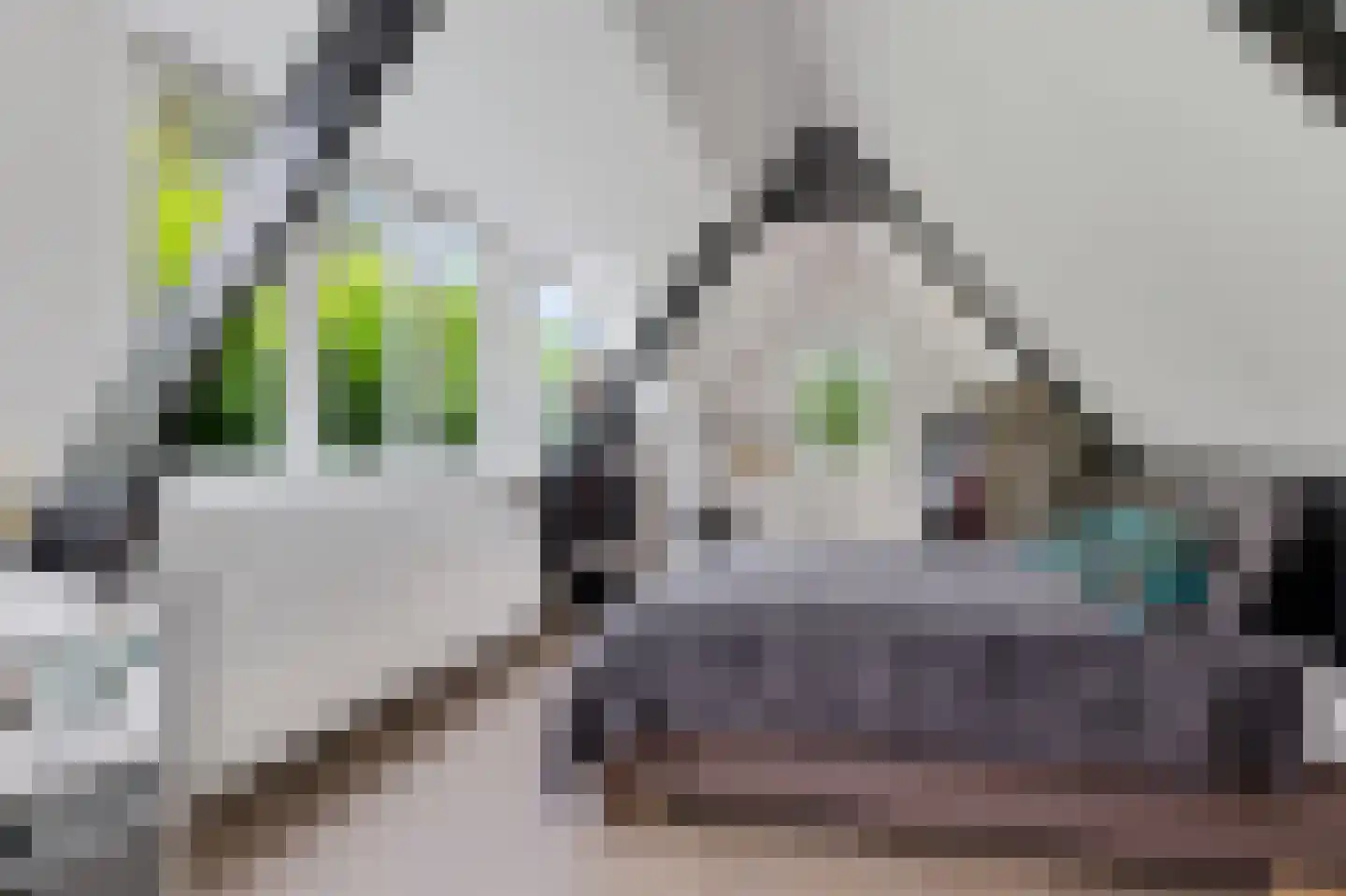 Zandvoortselaan 333 Bentveld thumbnail 25
