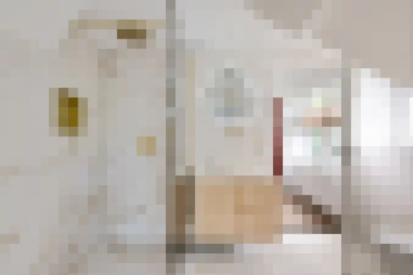 Zandvoortselaan 333 Bentveld thumbnail 26