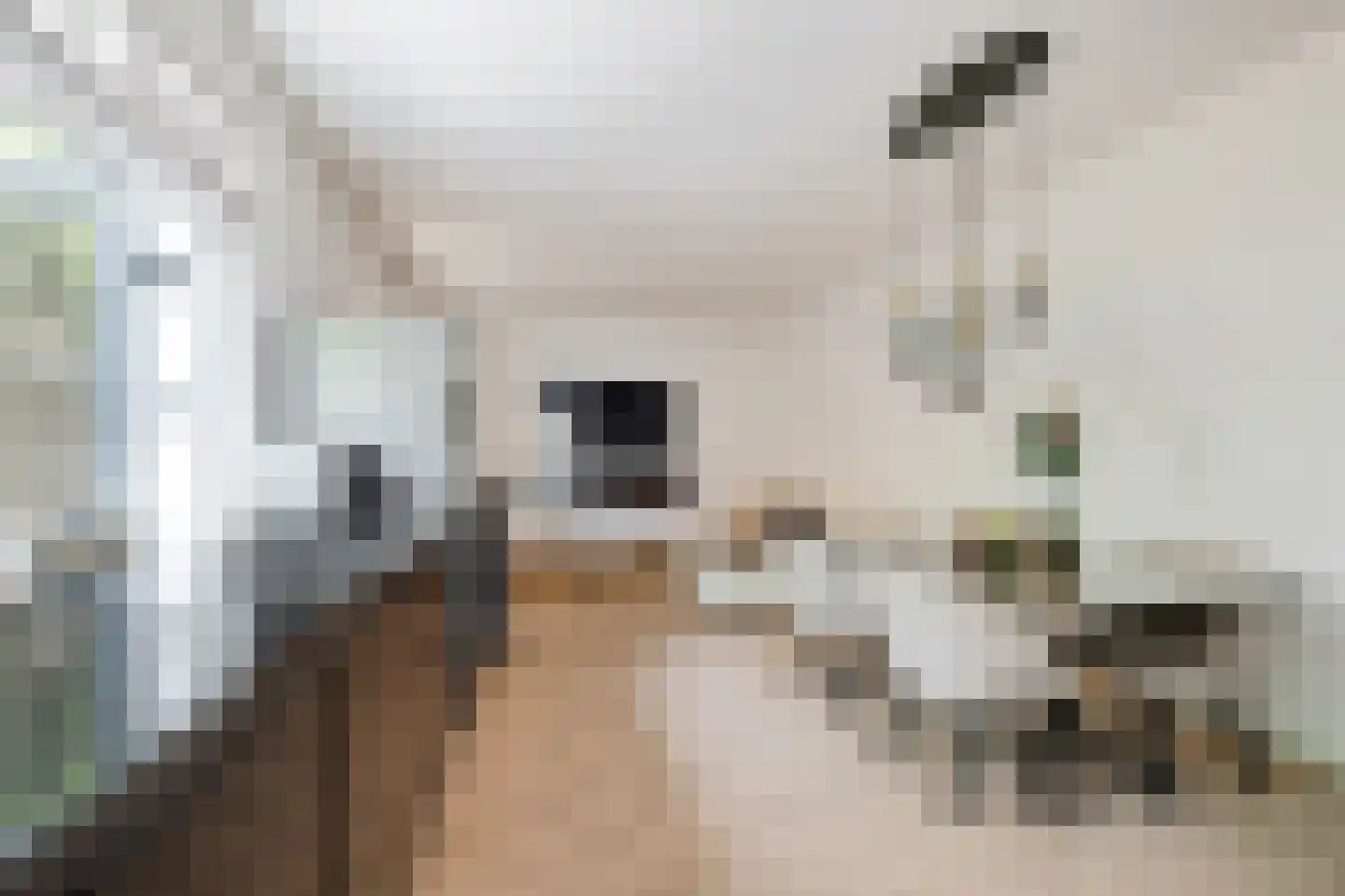 Zandvoortselaan 333 Bentveld thumbnail 6