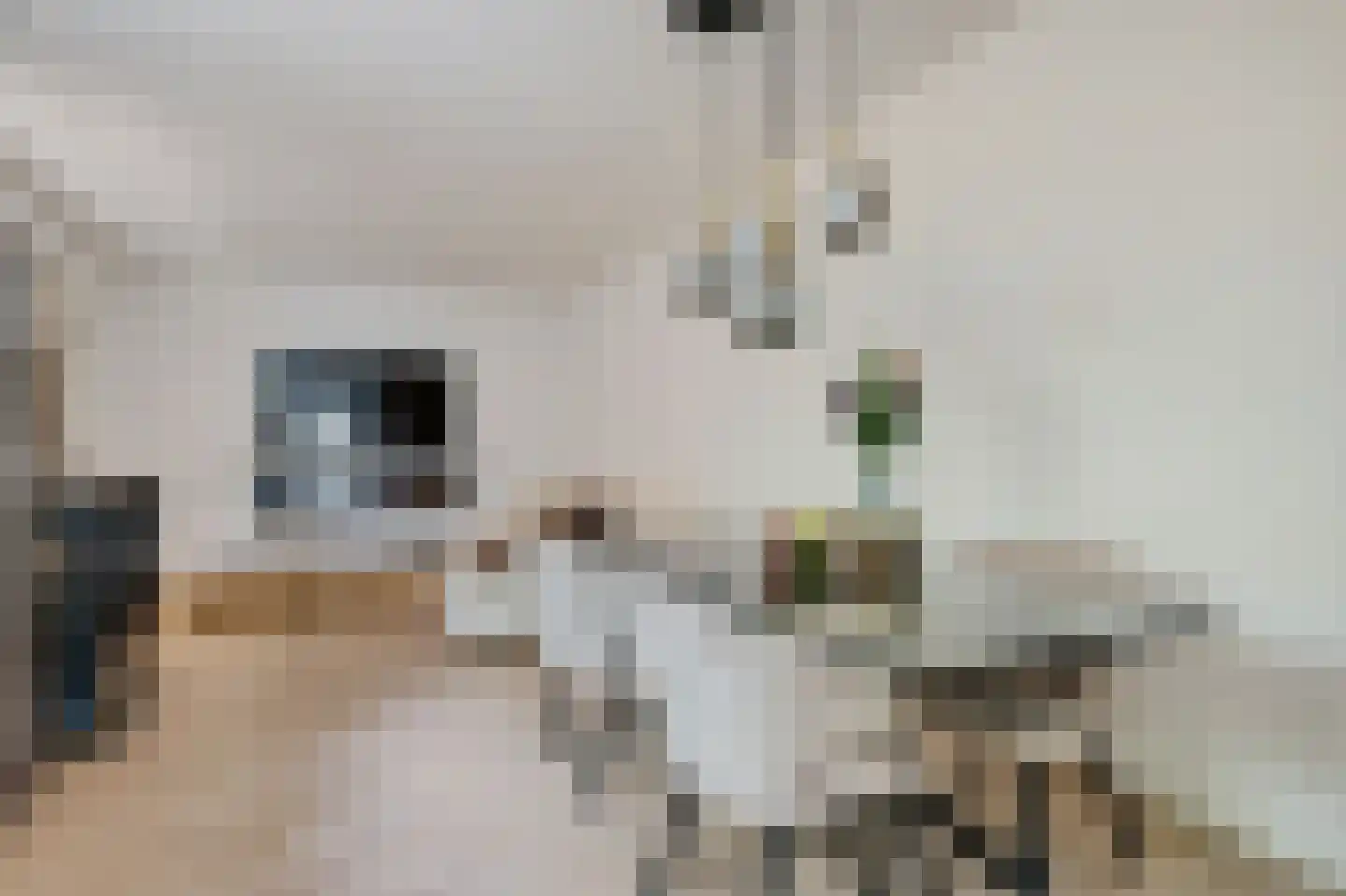 Zandvoortselaan 333 Bentveld thumbnail 7