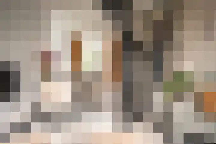 Zandvoortselaan 357 Bentveld thumbnail 11