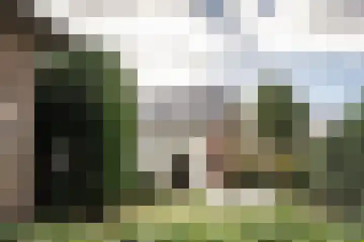 Zandvoortselaan 357 Bentveld thumbnail 23