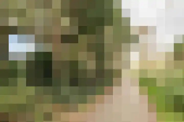 Zandvoortselaan 357 Bentveld thumbnail 24