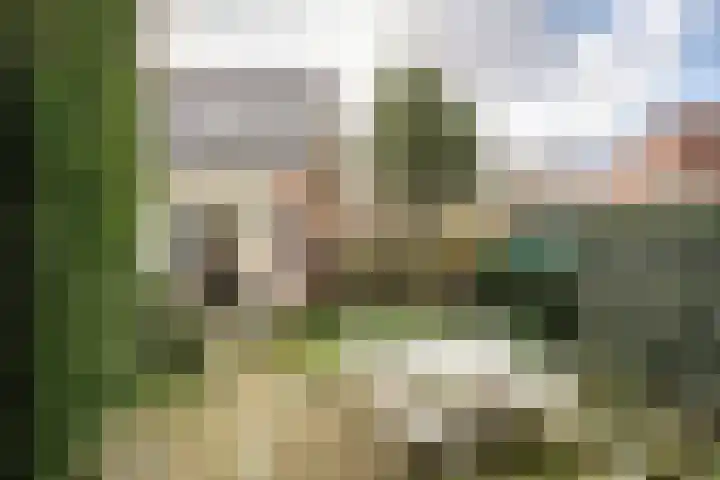 Zandvoortselaan 357 Bentveld thumbnail 25