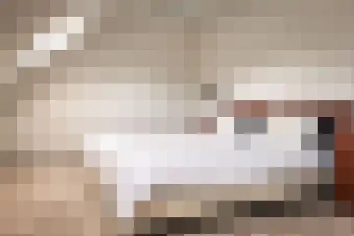 Zandvoortselaan 357 Bentveld thumbnail 30