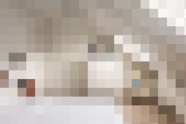 Zandvoortselaan 357 Bentveld thumbnail 31