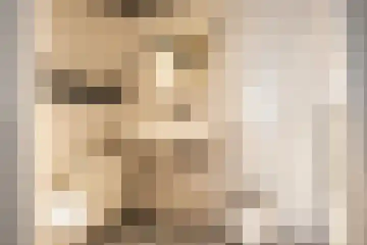 Zandvoortselaan 357 Bentveld thumbnail 32