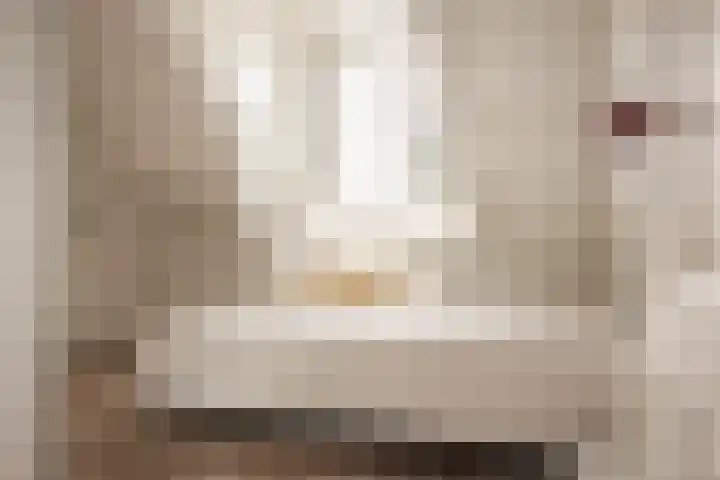 Zandvoortselaan 357 Bentveld thumbnail 34