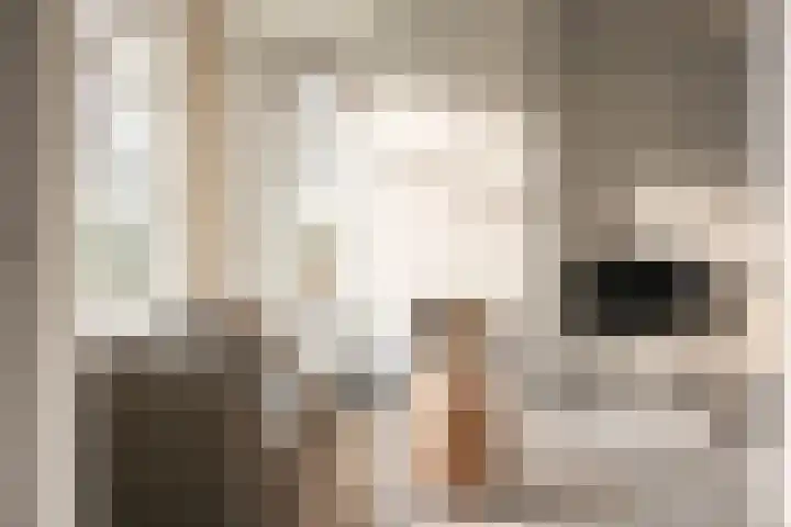Zandvoortselaan 357 Bentveld thumbnail 8