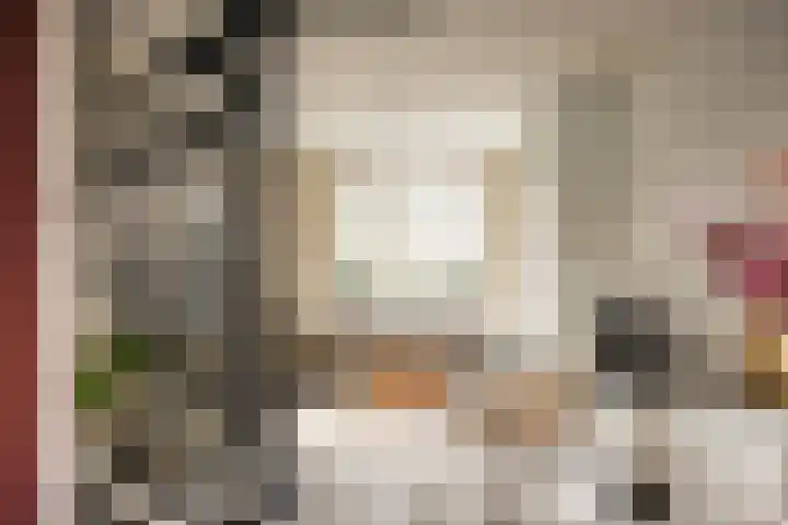 Zandvoortselaan 357 Bentveld thumbnail 9