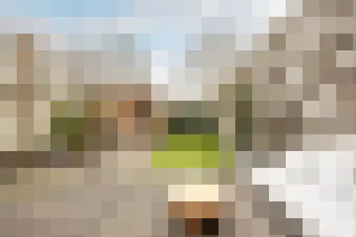 Zandvoortselaan 51 Heemstede thumbnail 13