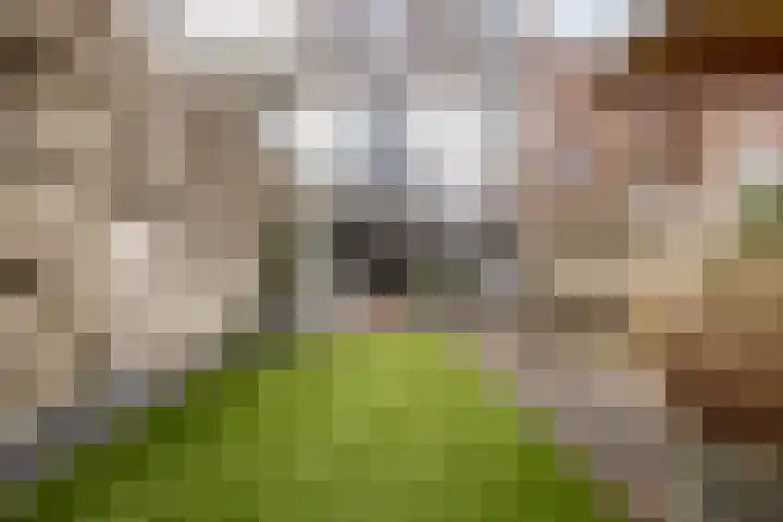 Zandvoortselaan 51 Heemstede thumbnail 14