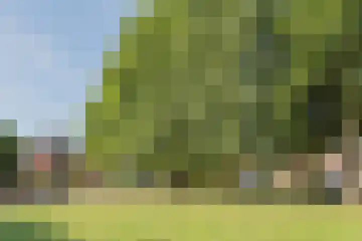 Zandvoortselaan 51 Heemstede thumbnail 35