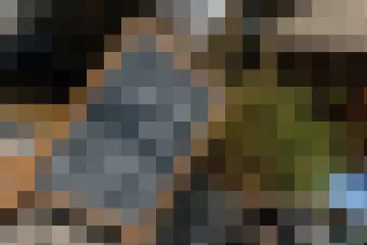 Zandvoortselaan 51 Heemstede thumbnail 37