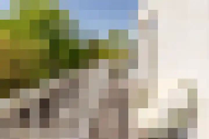 Zandvoortselaan 53 B Heemstede thumbnail 11