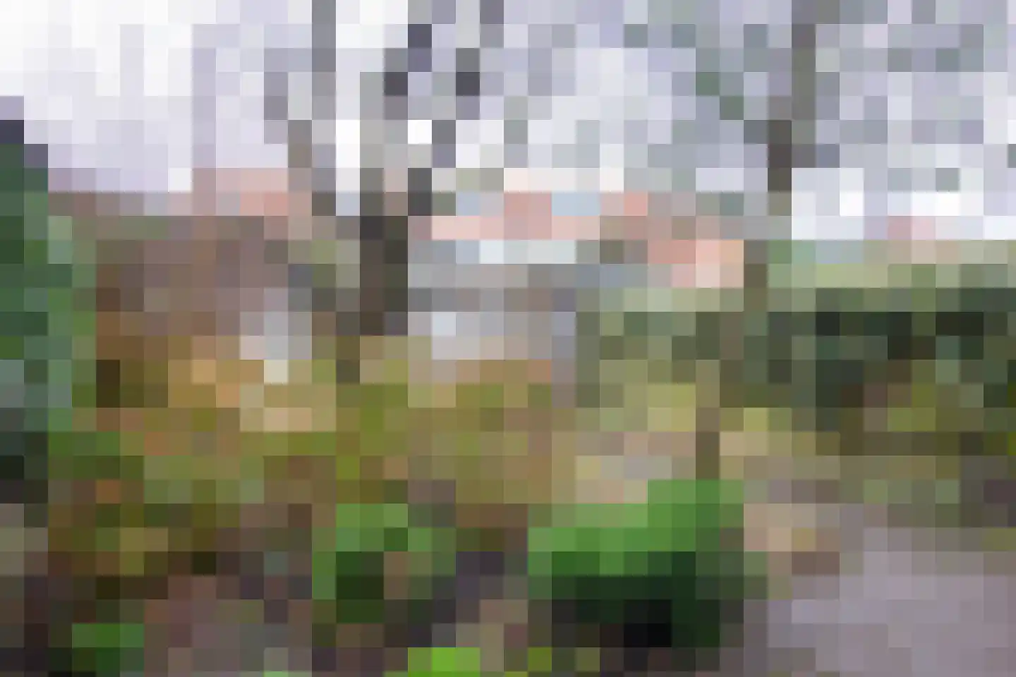 Zandvoortselaan 56 Heemstede thumbnail 21