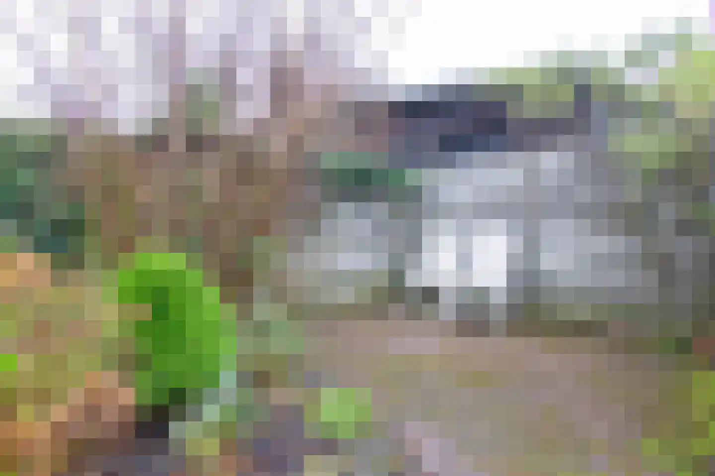 Zandvoortselaan 56 Heemstede thumbnail 22