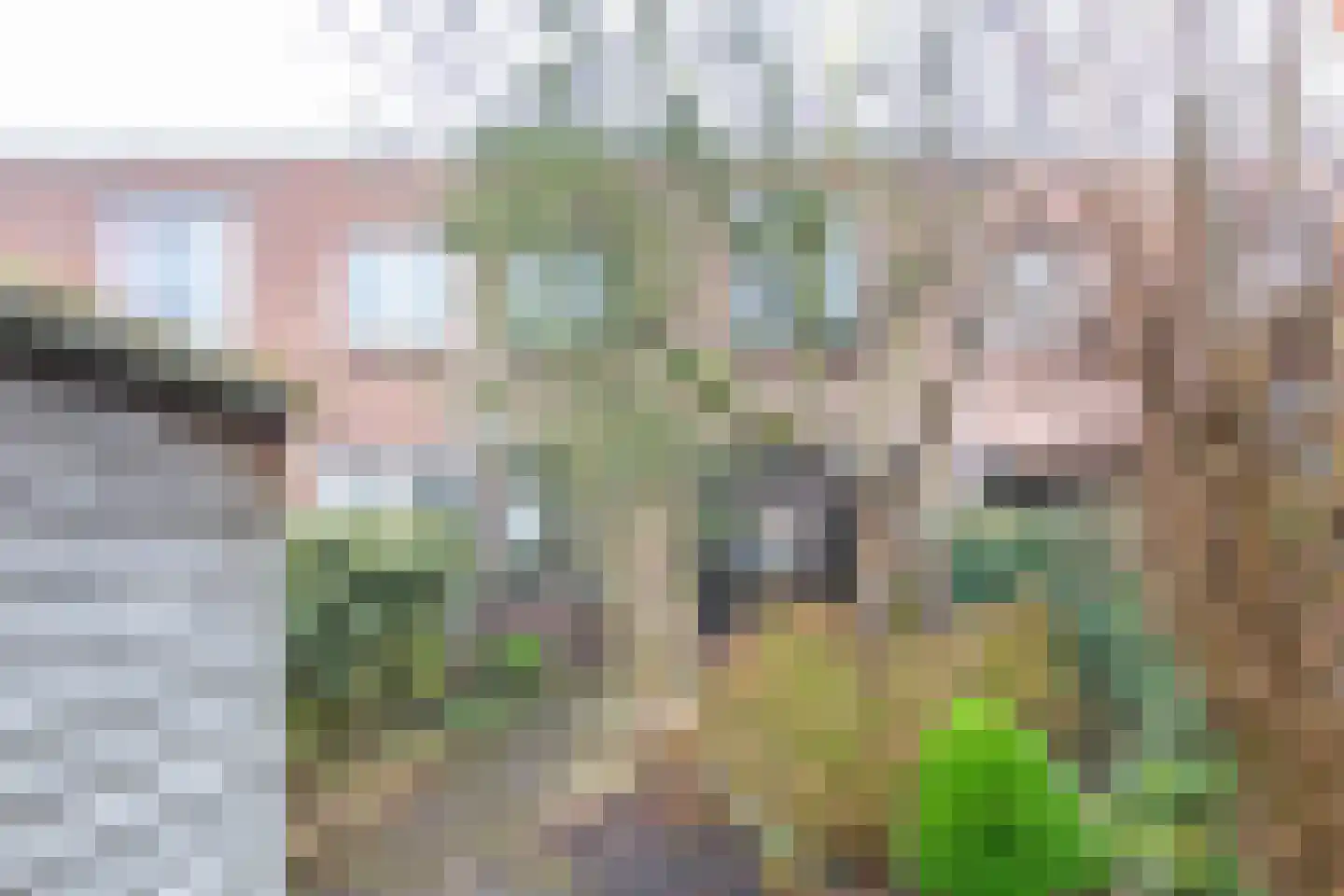 Zandvoortselaan 56 Heemstede thumbnail 23