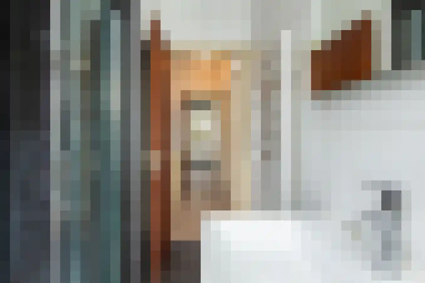 Zandvoortselaan 56 Heemstede thumbnail 32