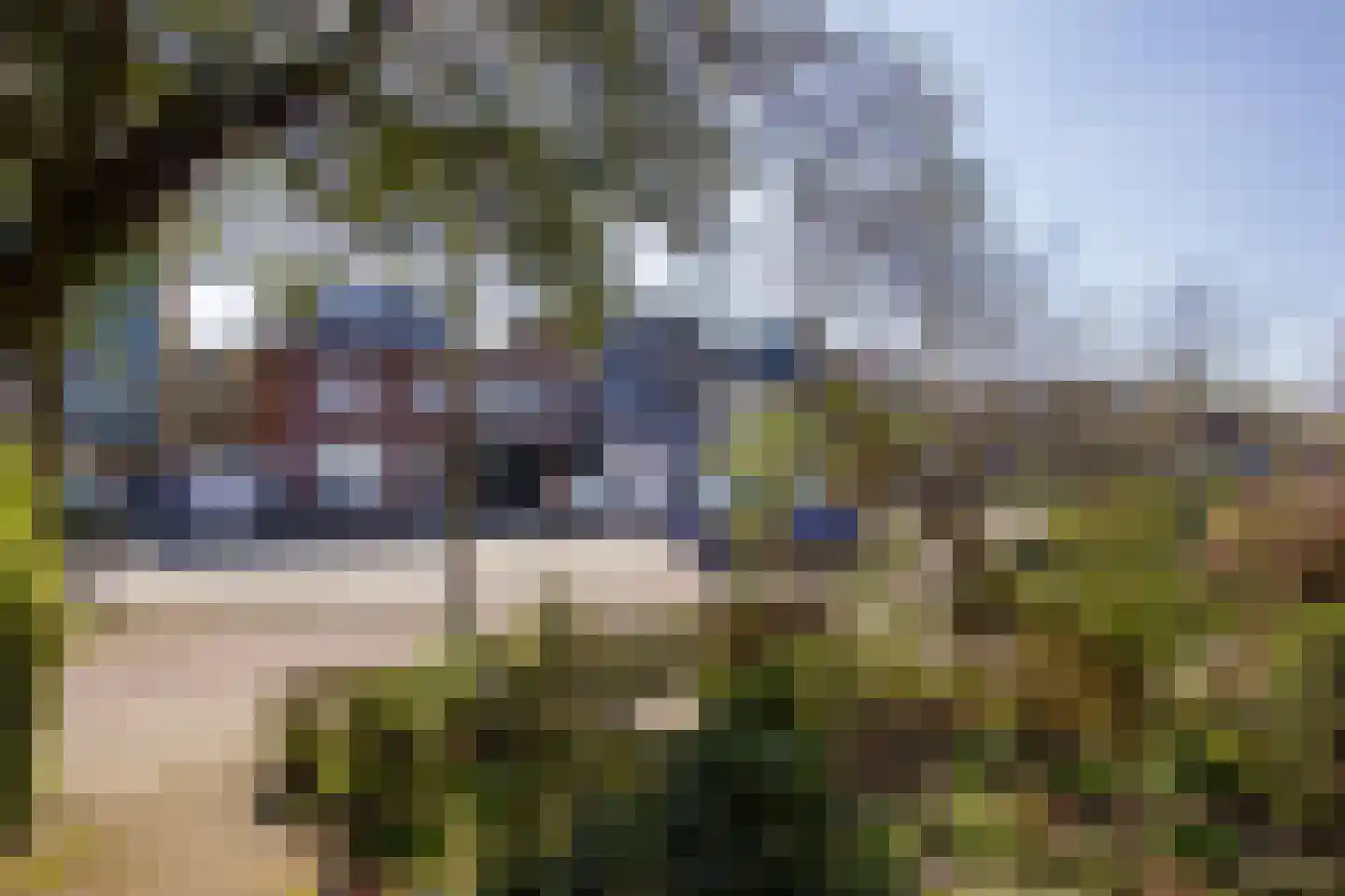 Zandvoortselaan 56 Heemstede thumbnail 36
