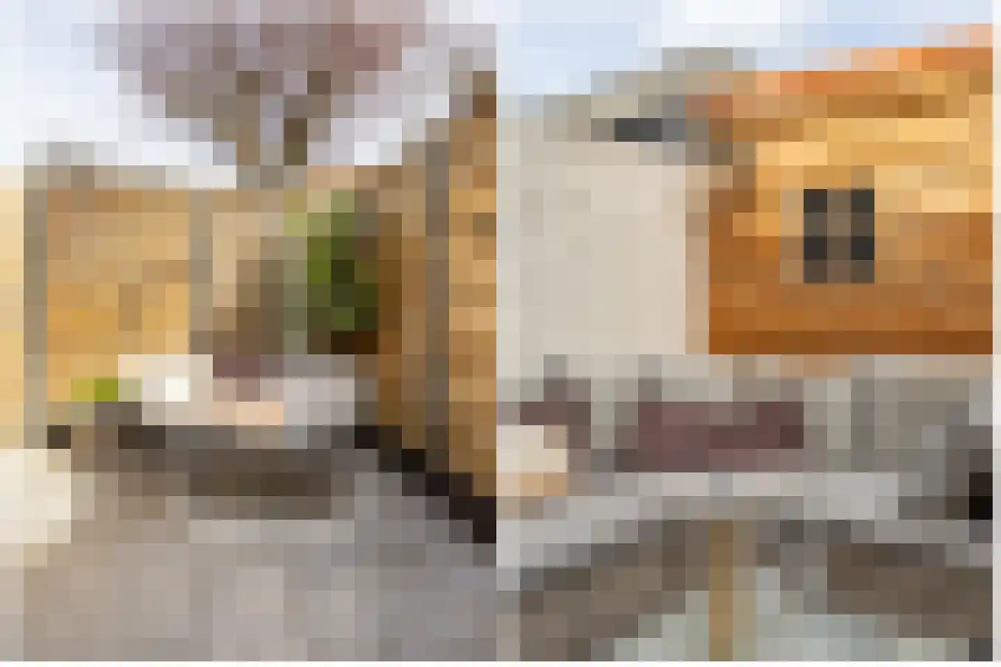 Zandvoortselaan 60 Heemstede thumbnail 11