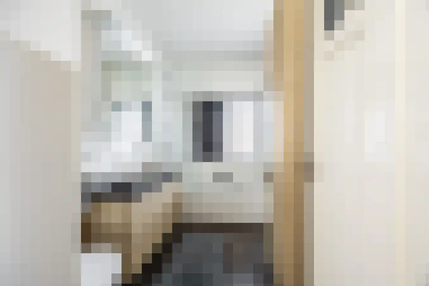 Zandvoortselaan 60 Heemstede thumbnail 17
