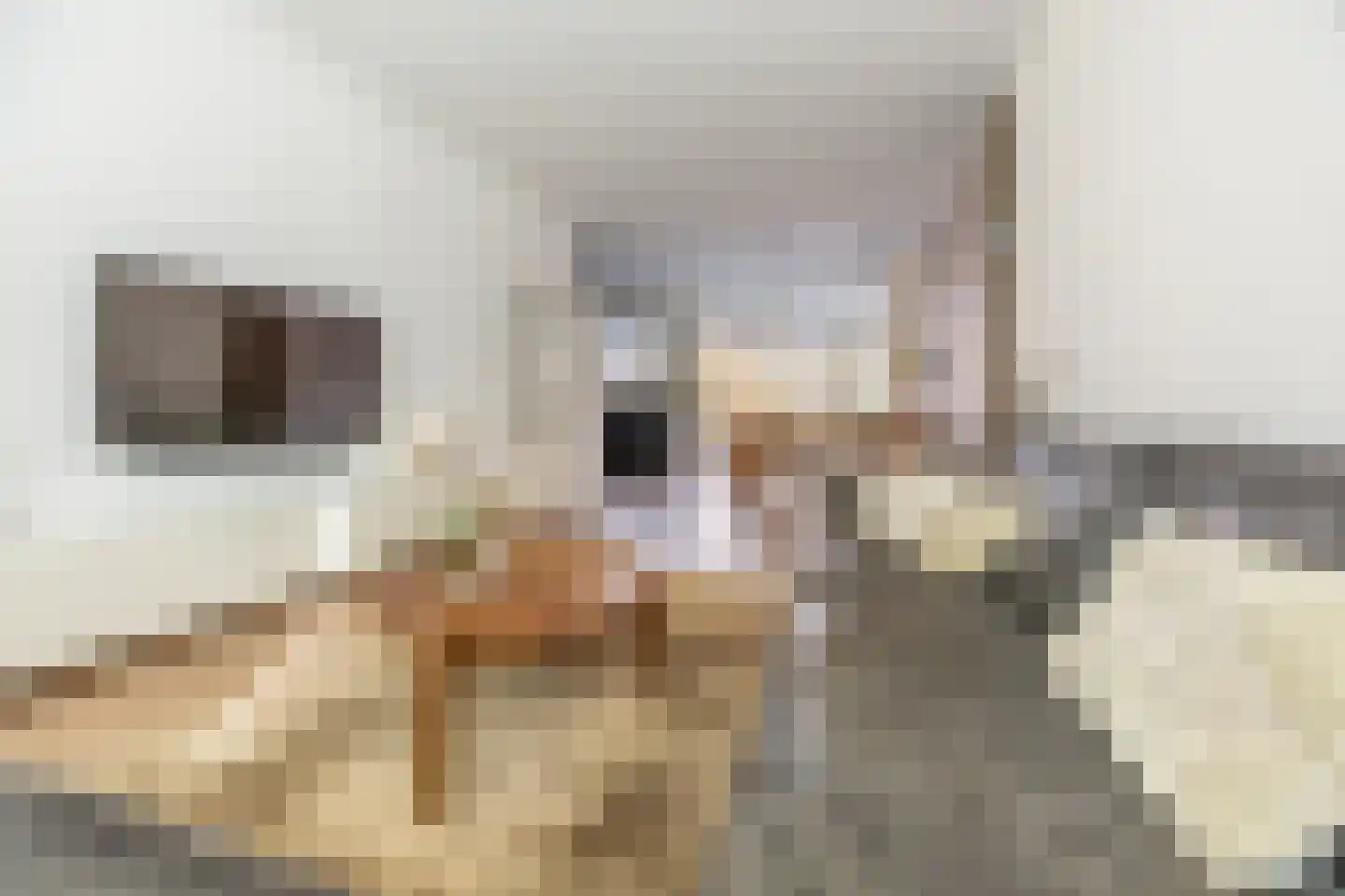 Zandvoortselaan 60 Heemstede thumbnail 5