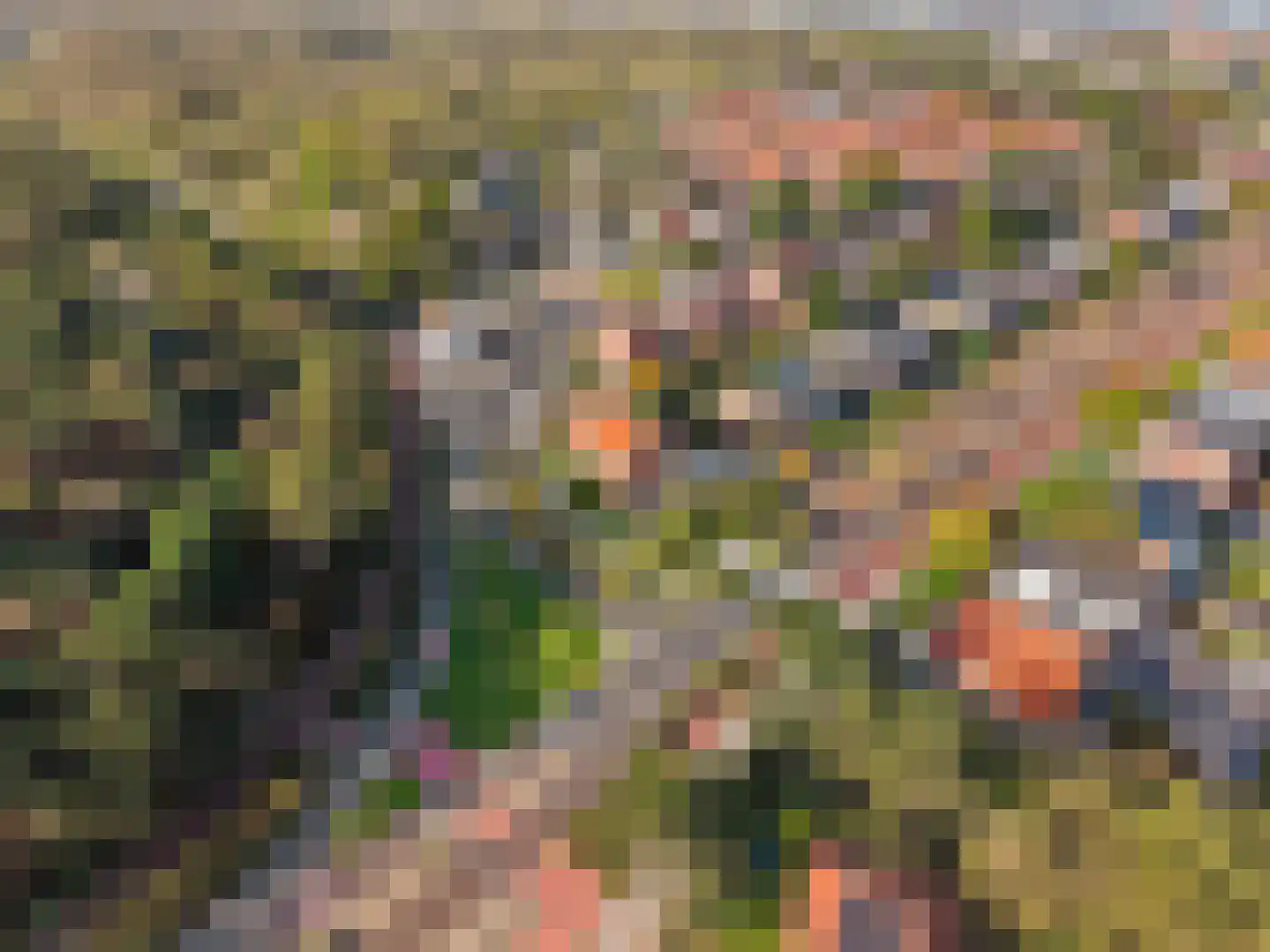 Zandvoortselaan 68 Zandvoort thumbnail 39