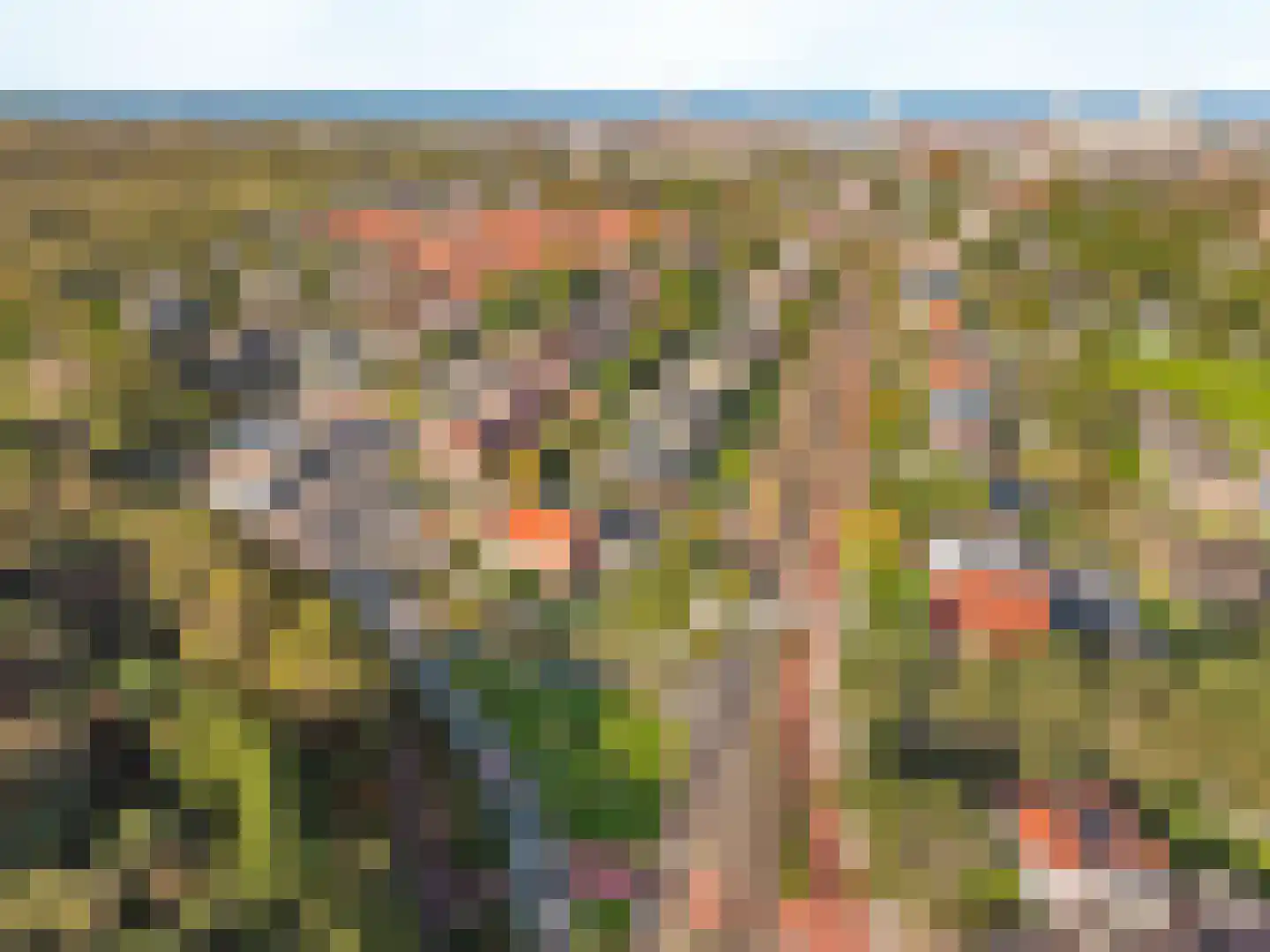 Zandvoortselaan 68 Zandvoort thumbnail 41