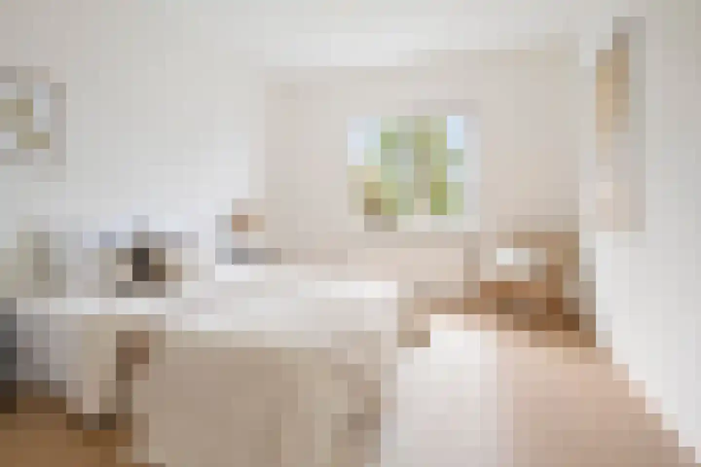 Zandvoortselaan 69 B Heemstede thumbnail 12