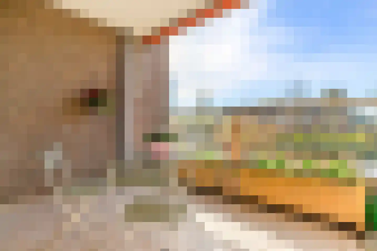 Zandvoortselaan 84 A 32 Heemstede thumbnail 5