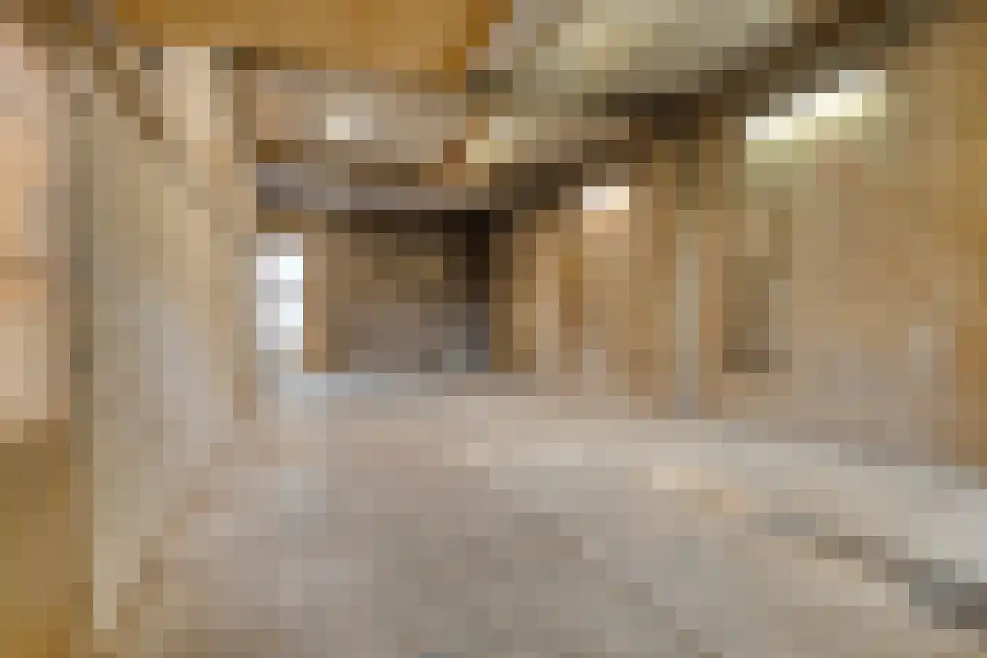 Zandvoortselaan 9 c Zandvoort thumbnail 41