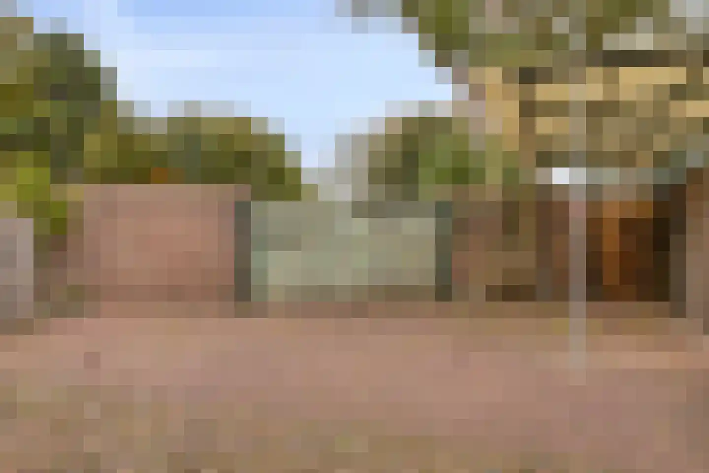 Zandvoortselaan 9 c Zandvoort thumbnail 48