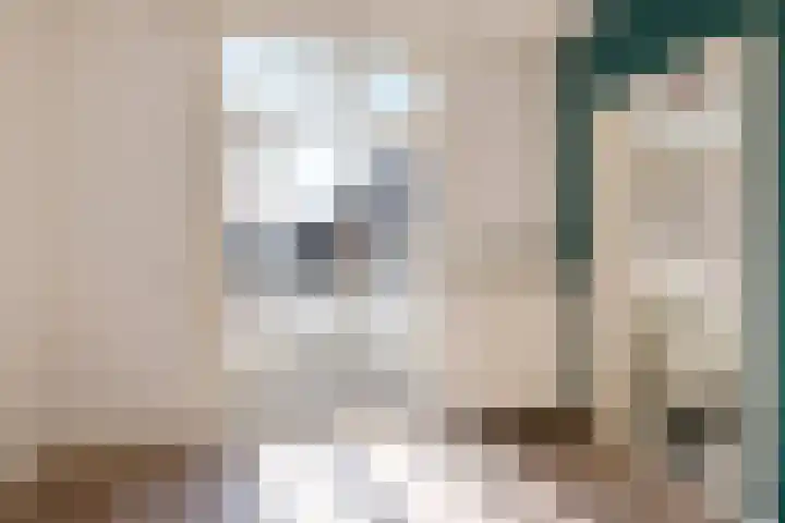 Zandvoortselaan 99 A Heemstede thumbnail 4