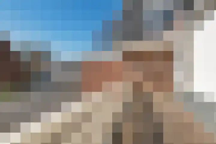 Zandvoortselaan 99 A Heemstede thumbnail 6