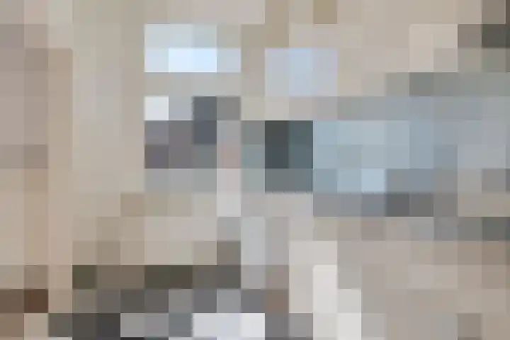 Zandvoortselaan 99 A Heemstede thumbnail 9